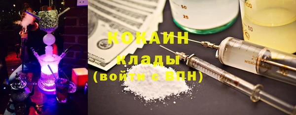 гашик Касимов