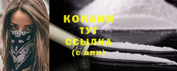 гашик Касимов
