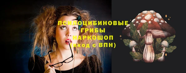 гашик Касимов