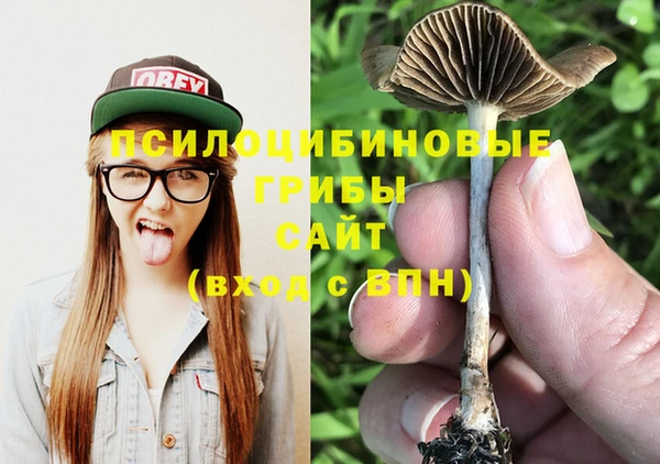гашик Касимов