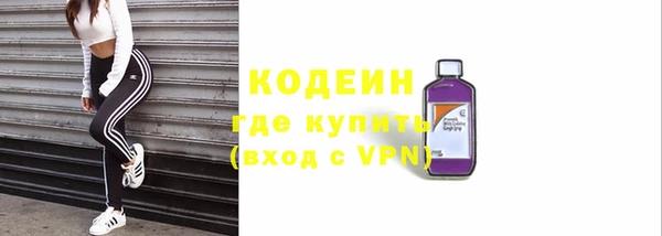 гашик Касимов