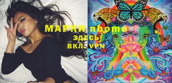 гашик Касимов