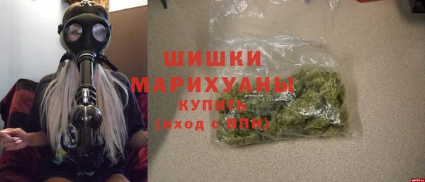 гашик Касимов