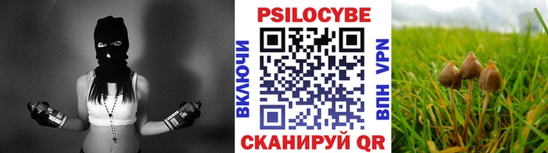 Купить  Сорск  Галлюциногенные грибы мухоморы 